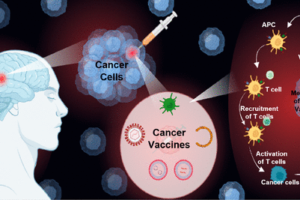 Cancer Immunotherapy