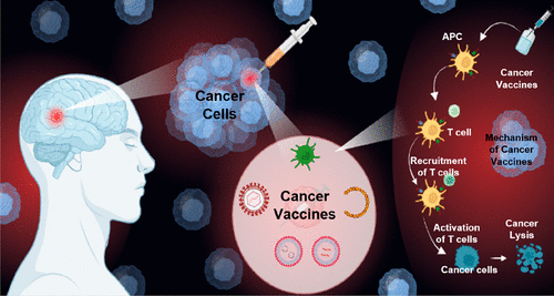Innovations in Cancer Immunotherapy: New Treatment Options Cancer Immunotherapy